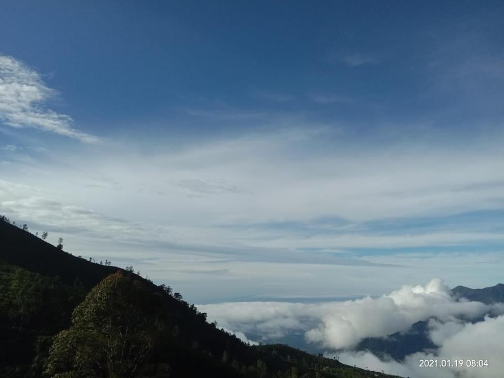 Forest Cyniciam Homestay Ohiya Dış mekan fotoğraf