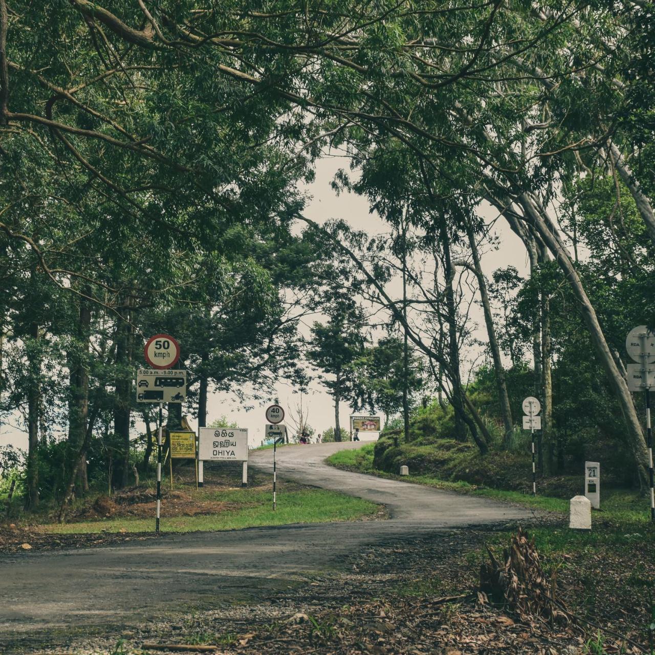 Forest Cyniciam Homestay Ohiya Dış mekan fotoğraf