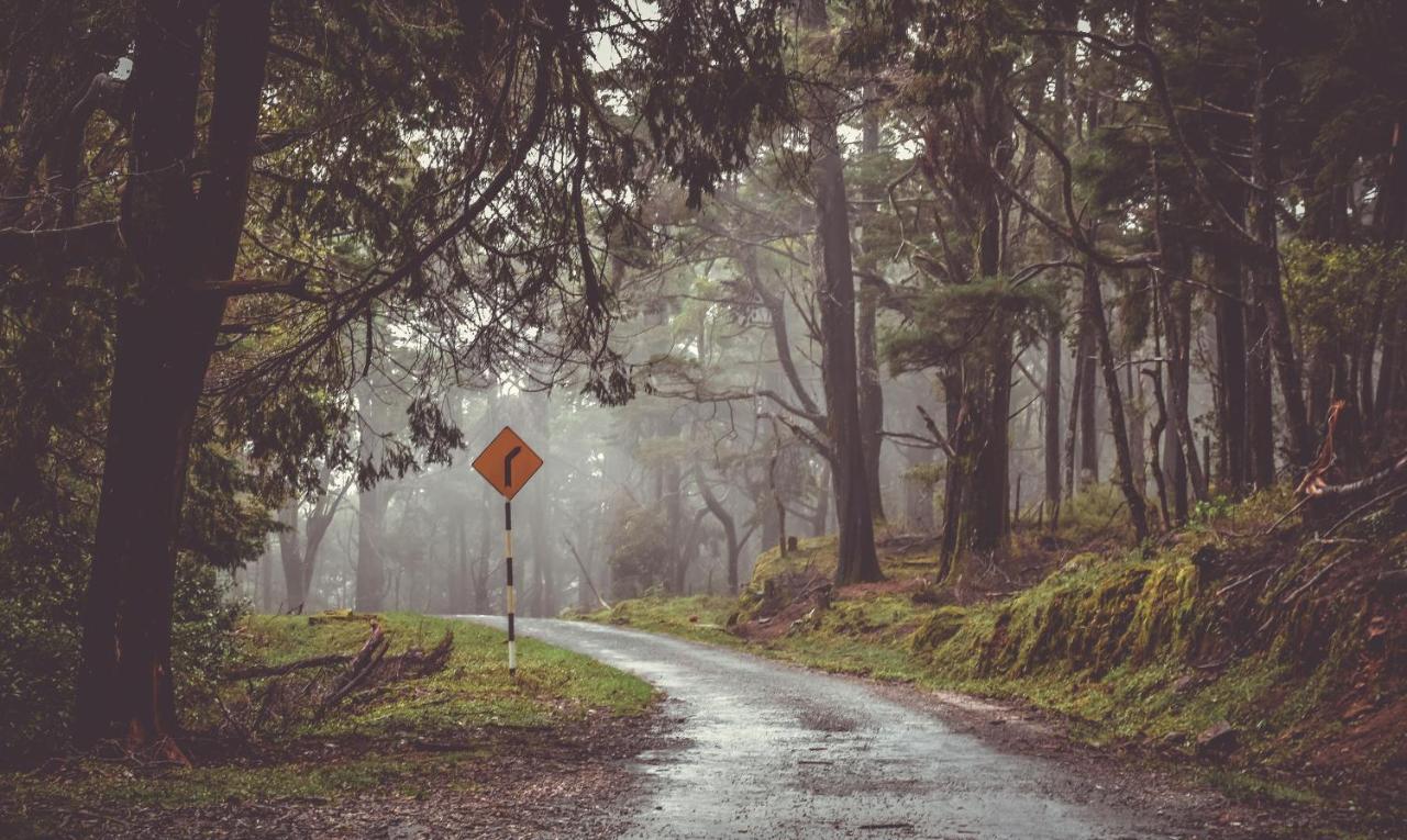 Forest Cyniciam Homestay Ohiya Dış mekan fotoğraf
