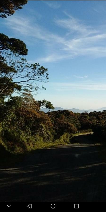 Forest Cyniciam Homestay Ohiya Dış mekan fotoğraf